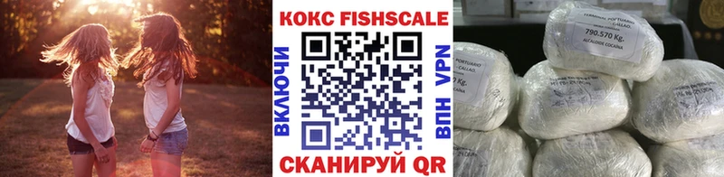 как найти закладки  Козьмодемьянск  Cocaine Эквадор 