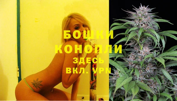 каннабис Белокуриха